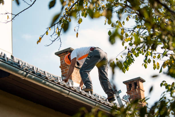 Best Emergency Roof Repair  in Clayton, CA